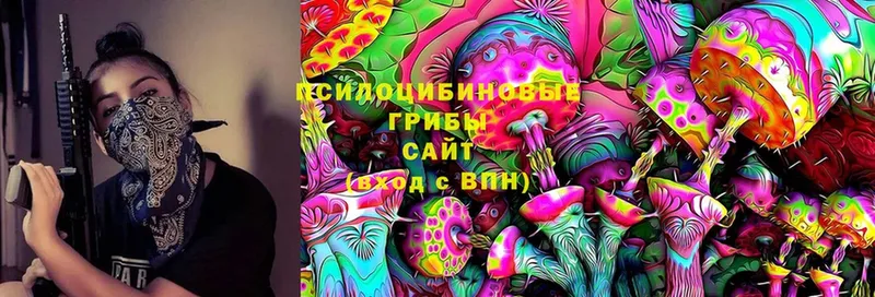 Галлюциногенные грибы Magic Shrooms  как найти   Избербаш 